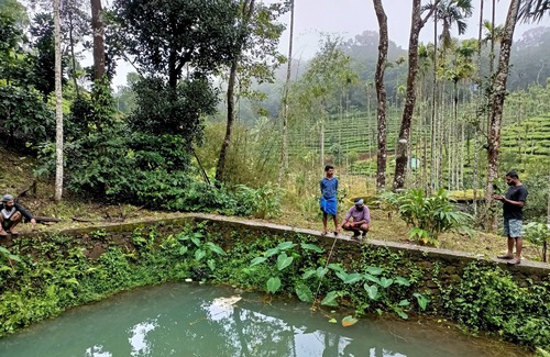 Mananthavady Casa | Blackhole Farms & Retreats - Tree House
