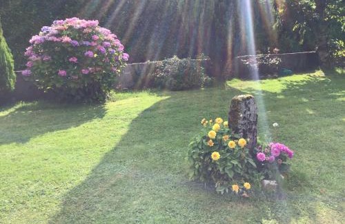Inishmacatreer Cama Y Desayuno | Blakehill House