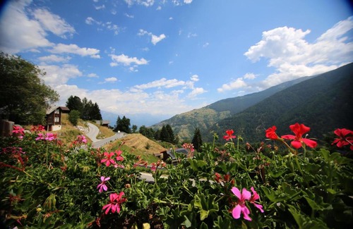 Nendaz Cama Y Desayuno | Bleusydyllique