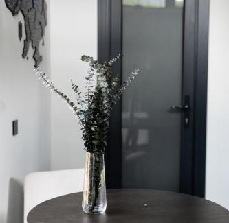 Slavske Apartamento | Bliss Cottage
