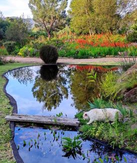 Elgin Casa | Blissful Country Garden King Bed Cottage