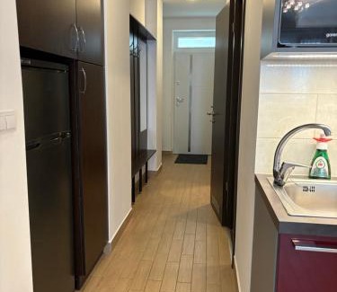 Vizivaros Apartamento | Blue Deer Apartment