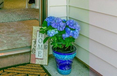Southside Casa | Blue Heron