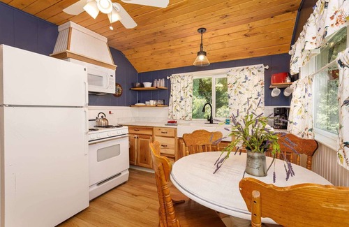 Twin Peaks Hotel | Blue Jay - One-Bedroom | One Bed + Day Bed | ¾ Bathroom | Sleeps Four