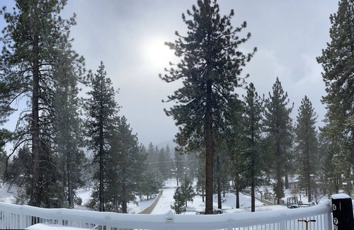Wrightwood Casa | Blue Jay Suite