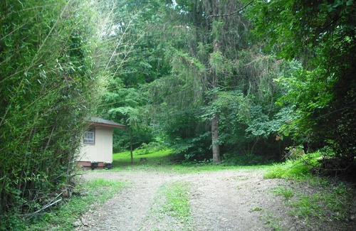 Front Royal Cabina | Blue Mountain Cabin, secluded, perfect for couples, near main road