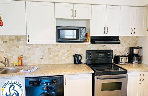 Craigleith Apartamento | Blue Mountain Suites