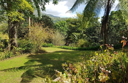 Silver Hill Gap Cabaña | Blue Mountains Jamaican Vacation