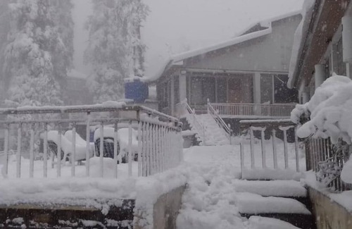 Nathia Gali Cabaña | Blue Pine Retreat