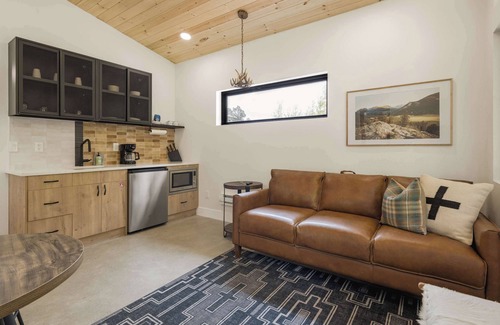 Grant Cabina | Blue Skye Cabin, Guanella Pass, Creekside