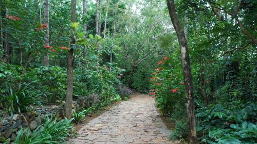 Yercaud Complejo | Blue Valley Estate-12 Acre Forest-Silver Oak-Villa