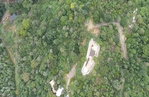 Yercaud Complejo | Blue Valley Estate-12 Acre Forest-Silver Oak-Villa