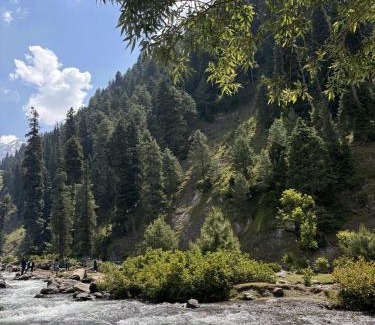 Khyber Pakhtunkhwa Complejo | Blue Water Riverside Resort & Fishing Spot Kalam