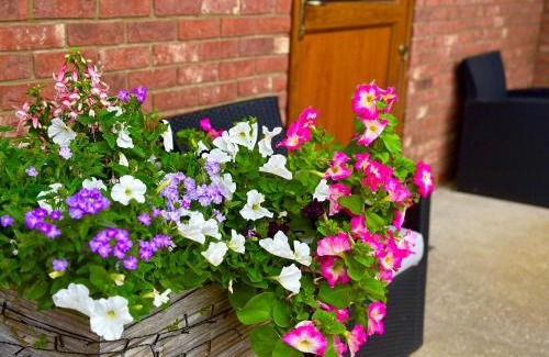 Tetney Casa | Bluebell Cottage - Cedar Park