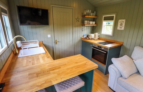 Ashby cum Fenby Cabaña | BLUEBELL, romantic, character holiday cottage in Waltham