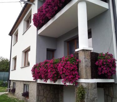 gmina Buczkowice Casa | Blueberry