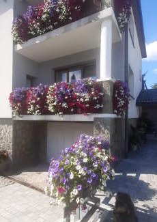 gmina Buczkowice Casa | Blueberry