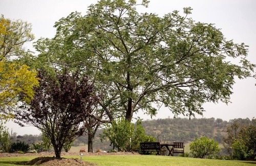 Lovedale Chalet De Esquí | Bluebush Estate - The Chalet - Stunning Country Views - Sleeps 10