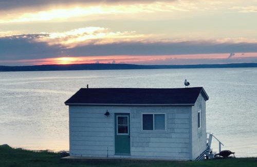 Indian Harbour Chalet De Esquí | BlueFin Cottage