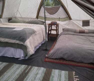 Vavenby Otro | Bluestone Acres Farm