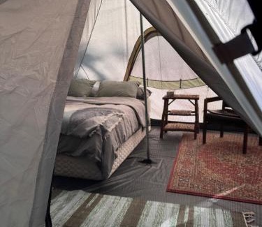 Vavenby Otro | Bluestone Acres Farm