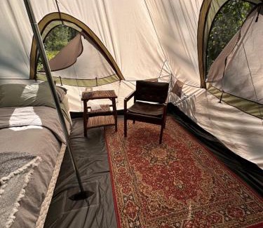 Vavenby Otro | Bluestone Acres Farm