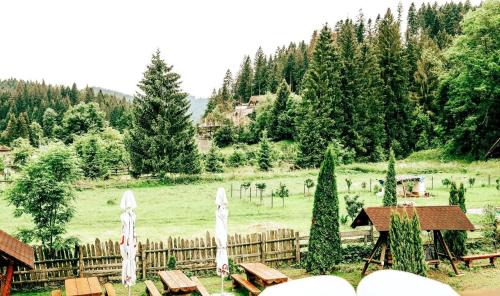 Gura Humorului Casa | Blumenhof Bucovina