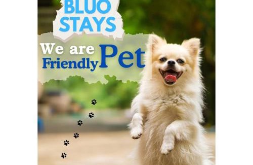 Greater Kailash Apartamento | BluO 2BHK - M Block Mkt - Lift , Balcony , Parking