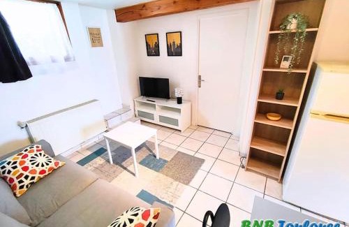 Plaisance-du-Touch Apartamento | ► BNB TOULOUSE ► Le Plaisant Maubec WiFi 24/7
