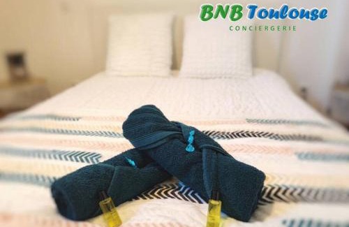 Saint - Michel Apartamento | ► BNB TOULOUSE ► Le Patio Tolosan Clim Métro, bus, tram WiFi