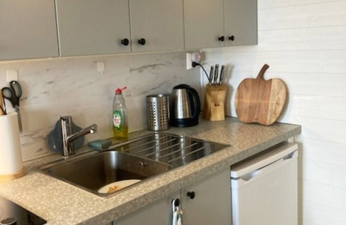 Taftea Apartamento | Boat house with direct connection to the sea | SE23003
