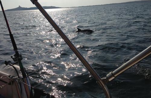 Sardinia Alquiler De Eote | Boat & Sailing Torregrande Sinis Yachting