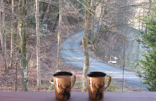 Sugar Grove Cabina | 🐾 Bobcat Run - real log cabin w/ huge hot tub! Near Watauga Lake 🚤 & River 🐟