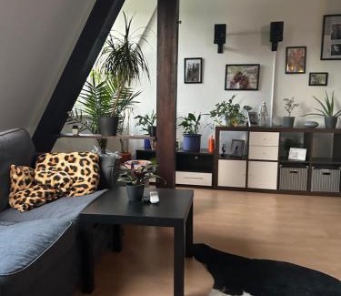 Auf den Holln Apartamento | Bochumer Dachnest