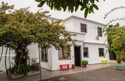 El Granel Apartamento | Bodega Goyo
