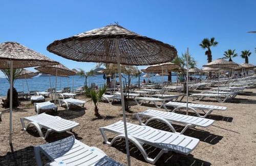 Turgutreis City Center Apartamento | Bodrum-Turgutreis Merkezde Plaja 50 Metre uzaklıkta 1 ve 2 numaralı daireler