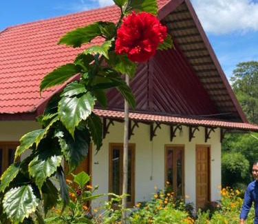Traeng Trayueng Casa | Boeung Kirirum Lumhae Resort