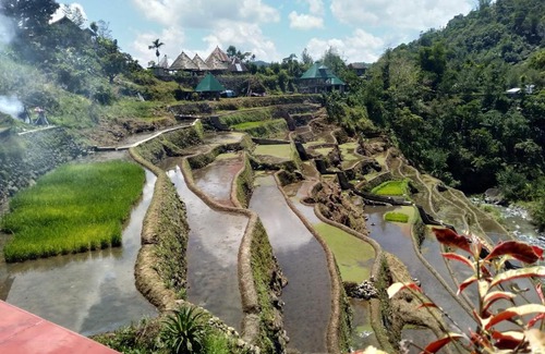 Banaue Casa | Bogah Lodge