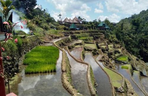 Banaue Casa | Bogah Lodge