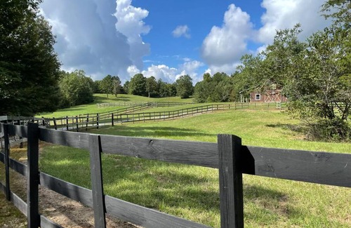 Talladega Otro | Bohamia - Cozy A-Frame Glamp on 268 acre forest retreat