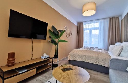 Andreasvorstadt Apartamento | BohnApartments Junior SUITE Blume 14 - Nähe Dom - WLAN