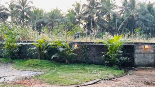 Malpe Complejo | Boho Beach House