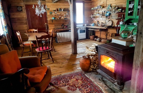 Beocin Cabina | Boho eco cabin in the woods on Fruška gora