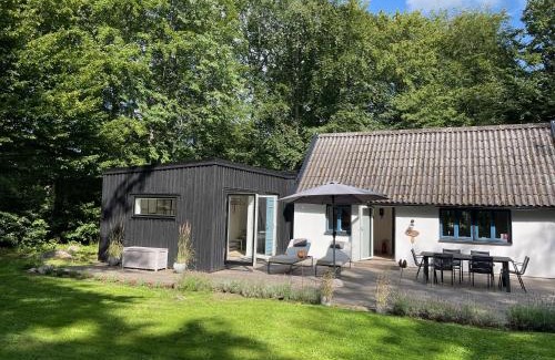 Degeberga Casa | Bokis - Modern Forest Cottage