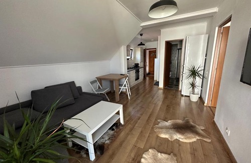 Odorheiu Secuiesc Apartamento | Bokorlak 4