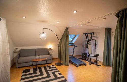 Bollwiller Apartamento | Bollwiller Modern Loft with Pool and Gym