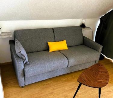 Bollwiller Apartamento | Bollwiller Modern Loft with Pool and Gym