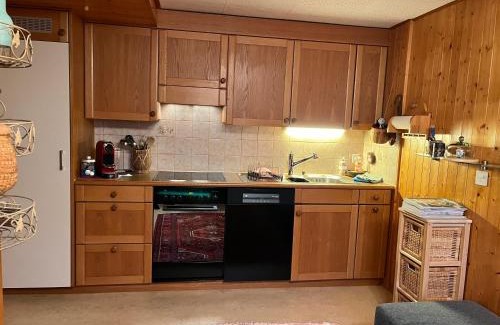 Eschenz Apartamento | Bonis 2,5 Zimmer Ferienwohnung