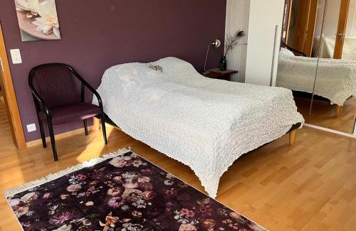 Eschenz Apartamento | Bonis 2,5 Zimmer Ferienwohnung