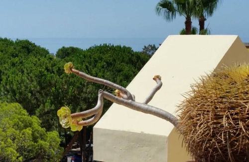 Nikki Beach Apartamento | Marbella beachfront apartment Romana Playa Elviria